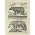 thumbnail image 3 of Diderot, Denis 18x24 Black Modern Framed Museum Art Print Titled - Elephant and Rhino, 3 of 5