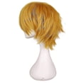 thumbnail image 2 of Fashion Short Straight Cosplay Costume Wig For Men, Harajuku Cosplay Anime Wig Unisex Colorful Short Hairstyle, 2 of 3