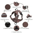 thumbnail image 6 of Deeceymbur Dog Leash and Collar Set, Dog Leash for Small Medium Dogs Puppy and Cats Outdoor Walking Running, 6 of 6