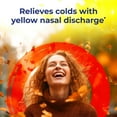 thumbnail image 3 of Boiron Kali Sulphuricum 6C, Homeopathic Medicine for Colds With Yellow Nasal Discharge, 80 Pellets, 3 of 11