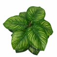 thumbnail image 4 of Planta artificial Brillar de simulación de flores falsas manzana verde grande en maceta, 4 of 5