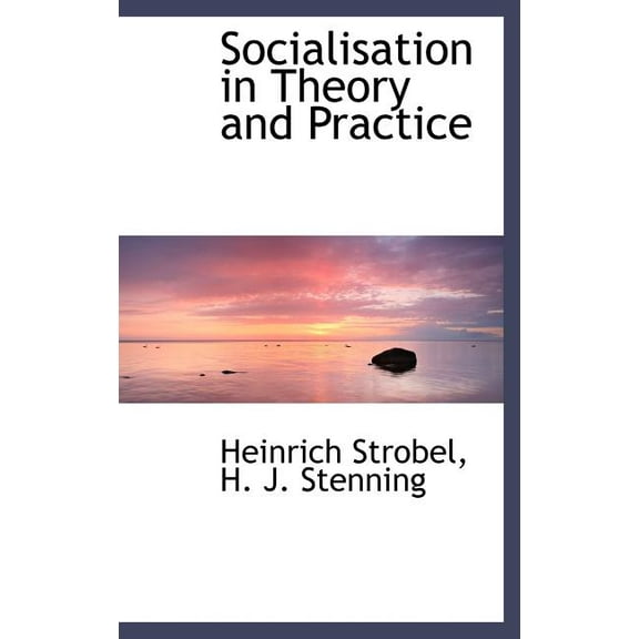 Socialisation in Theory and Practice (Hardcover)