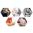 thumbnail image 4 of Cat Scratcher Boardtoys Cat Scratching Post Mat Toy Bed Mat Claw Sharpener Scrapers For Cat Grinding Nail Pad Pet Furniture mat, 4 of 7