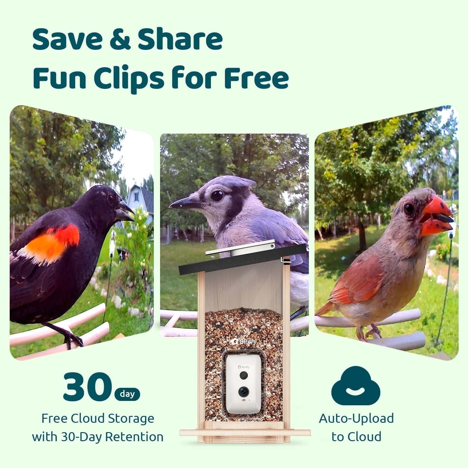 Birdfy Smart Bird Feeder with Camera, Bird Watching Camera with Solar Panel, AI Identify 6000+ Species, Eco-friendly Wooden, Ideal Gift, Ebony