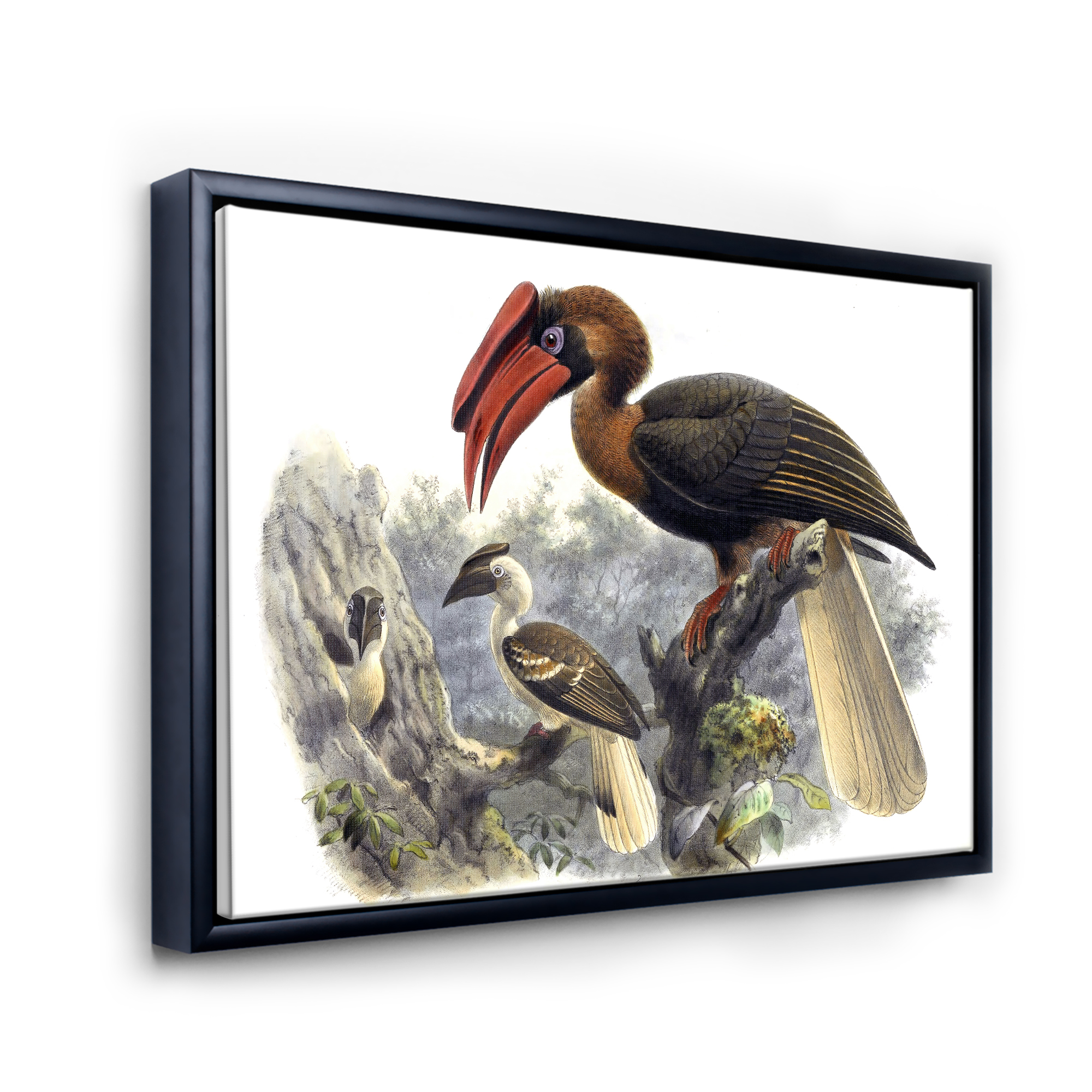 Designart 'Ancient Australian Birds XI' Traditional Framed Canvas Wall Art Print