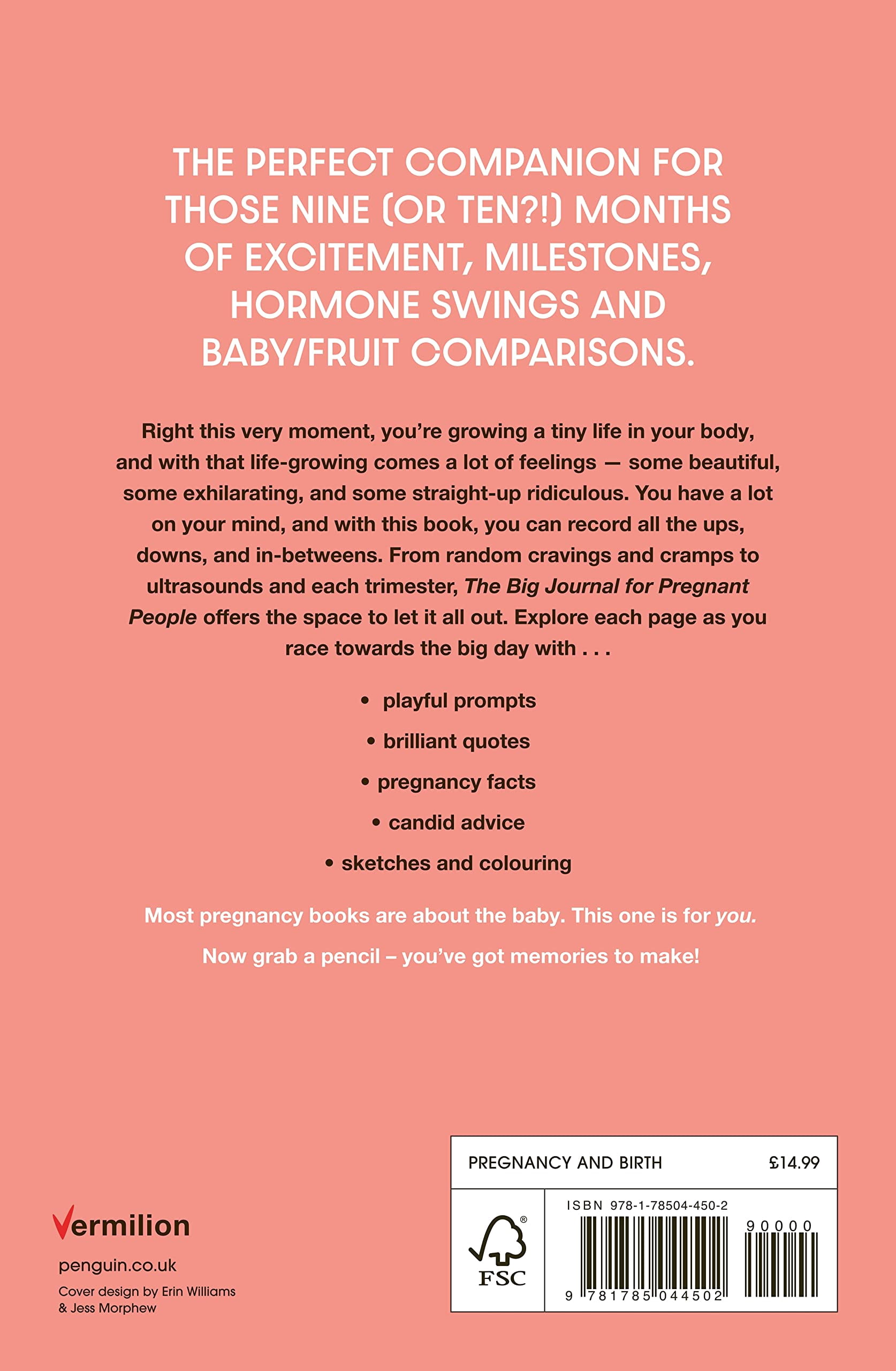 The Big Journal for Pregnant People Erin Williams,Jordan Reid (Paperback)