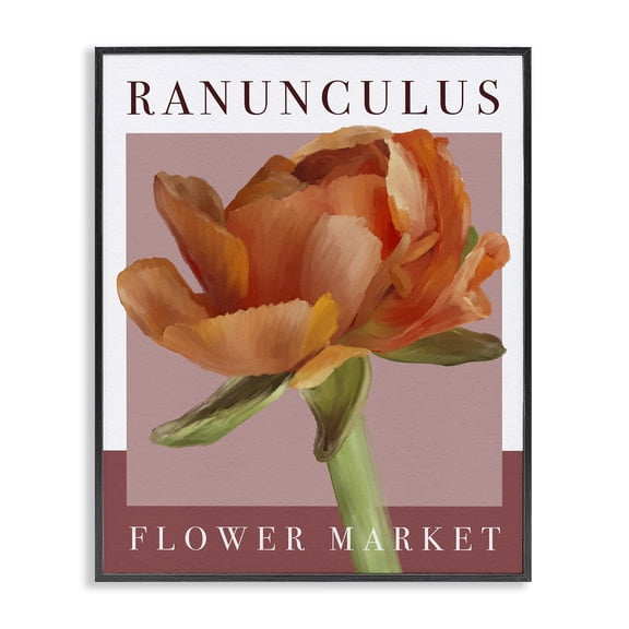Stupell Industries Traditional Ranunculus Flower Market Black Framed Giclee Art, 11 x 14, by Jennifer Stith