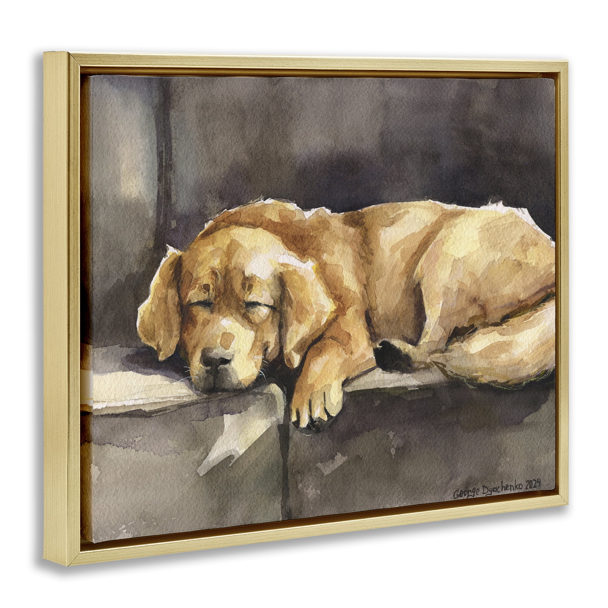 Stupell Industries Sleeping Golden Retriever Animals Painting Gold Floater Framed Canvas Art Print Wall Art, 21 x 17