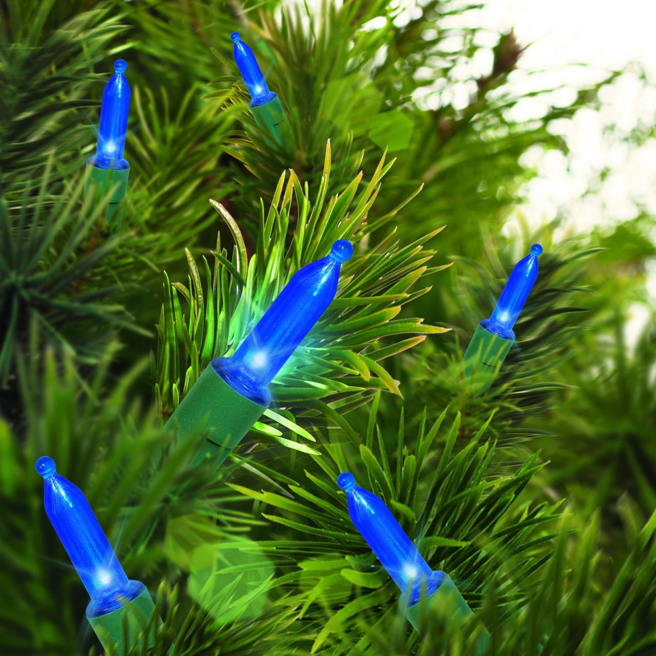 (2 pack) 50-Count Blue LED Mini Christmas Lights with Green Wire, 11', Holiday Time