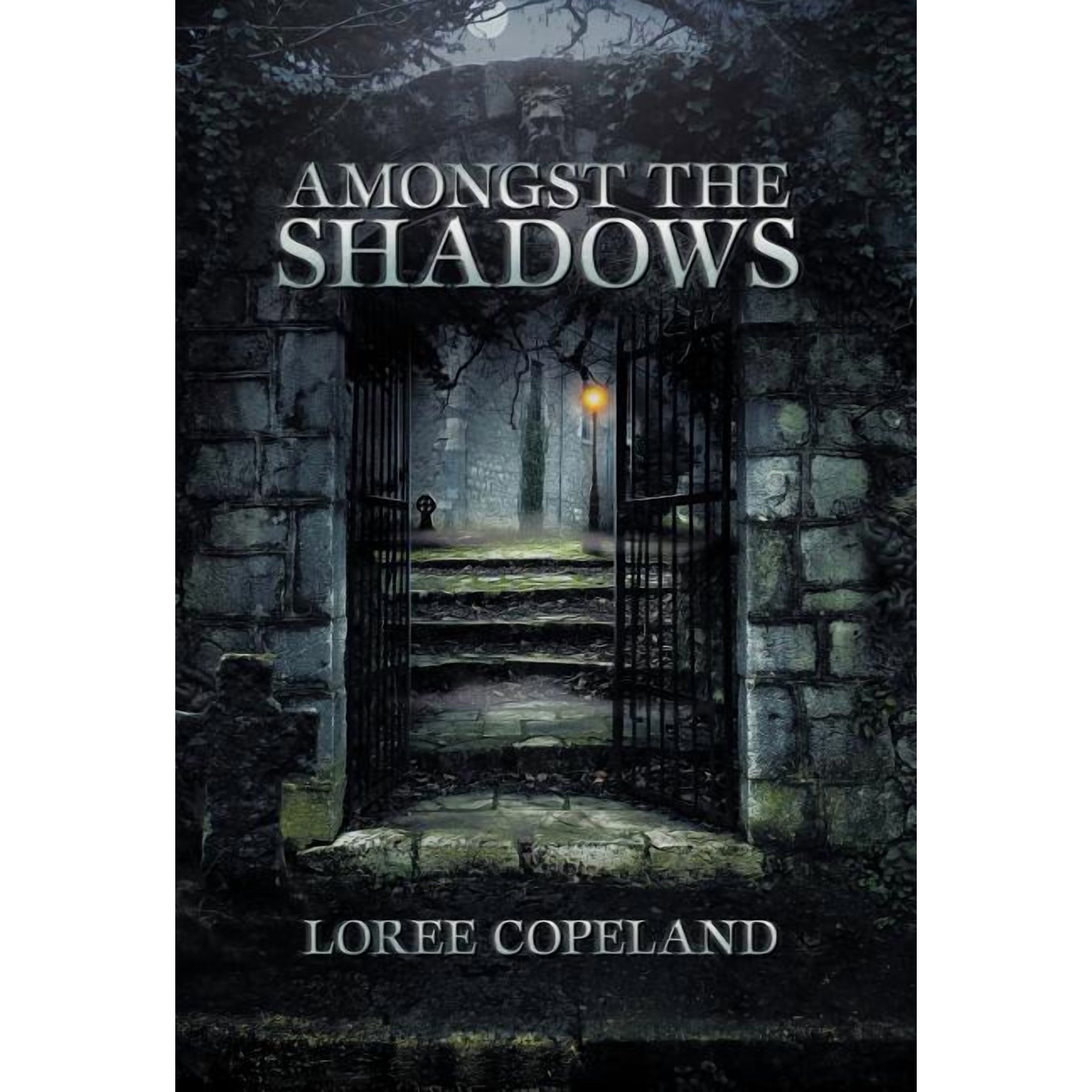 Amongst the Shadows (Hardcover)