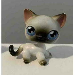 Littlest Pet Shop Custom OOAK Black Eyes Super Hero Captain Britain LPS Cat New Walmart