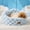 Light Blue-22"L x 20"W x 12"Th, variant on Cloud Dog Bed For Small Dogs & Cats  Washable Pet With Foam And Removable Checkered Plush Pad Non-slip Bottom Indoor Puppies Kittens 22x20 Inch White