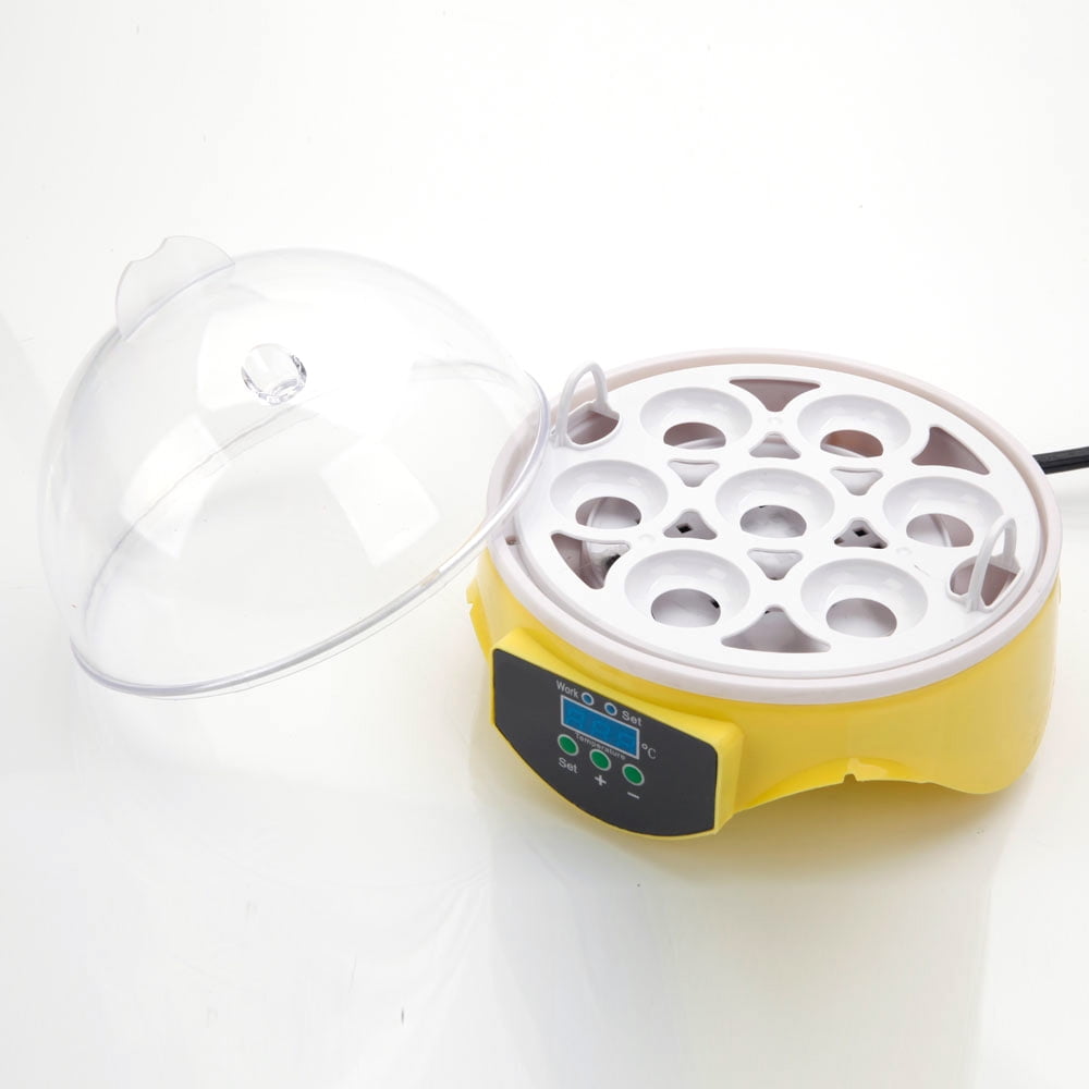 Canddidliike Mini Automatic 7-Egg Incubator Breeder for Chicken, Ducks, Birds & More Canddidliike Mini Automatic 7-Egg Incubator Breeder for Chicken, Ducks, Birds & More