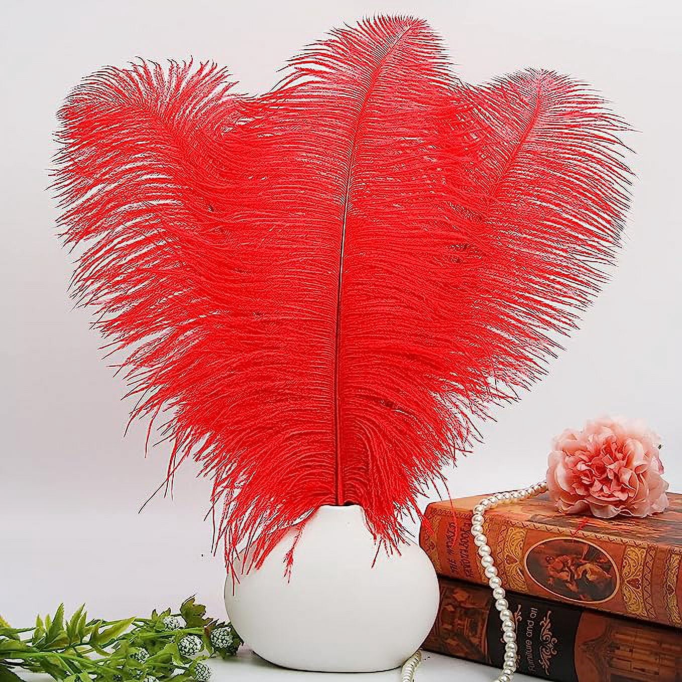 Nvzi 12pcs Red Ostrich Feathers Natural Bulk 16-18Inch 40cm-45cm for Wedding Party Centerpieces Easter Gatsby and Home Decorate Ostrich Feathers