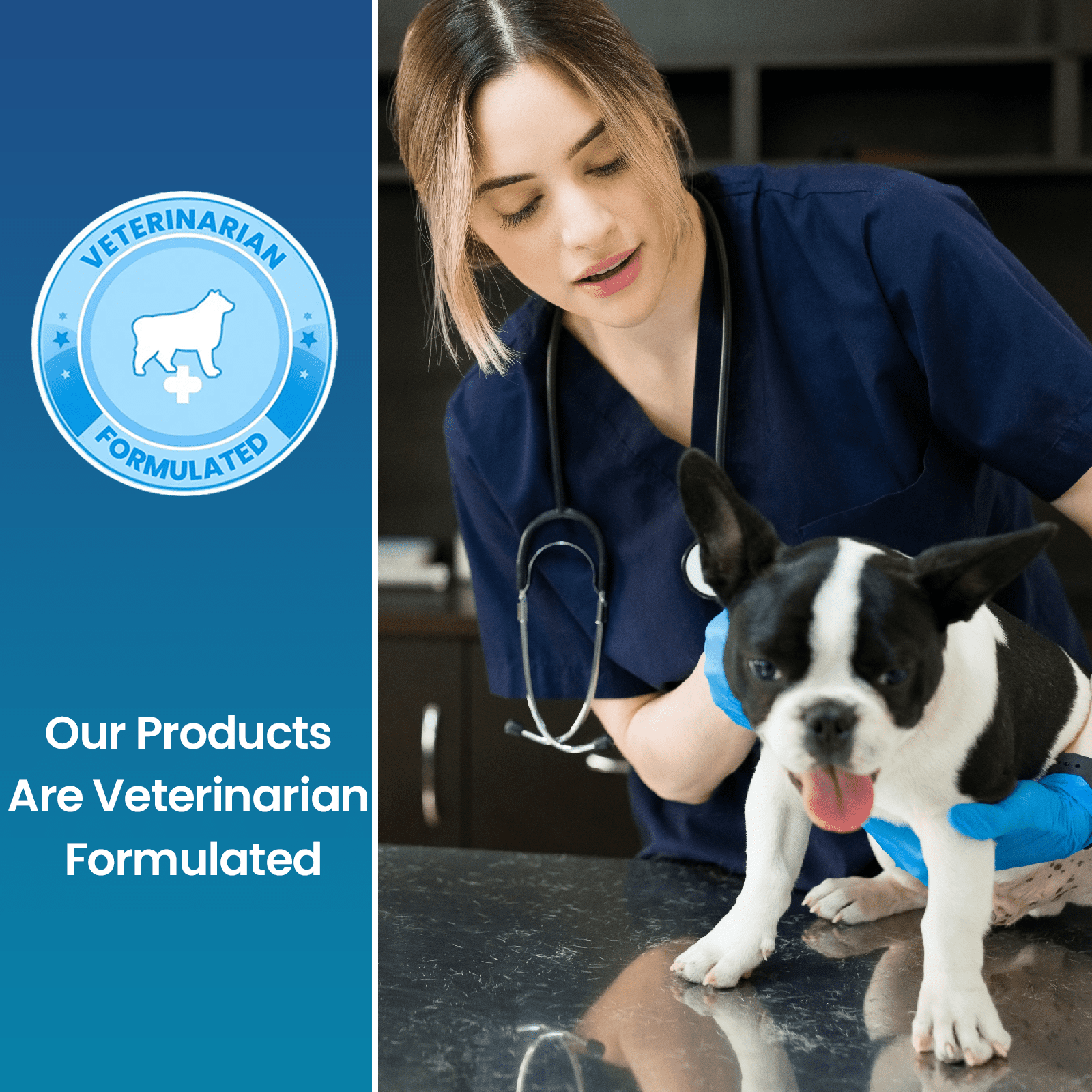 Replenish Probiotic and Digestive Enzyme Chews for Dogs - Dog Probiotics Digestive Supplement - Probiotics for Dogs Gut Health & Stomach Relief - 60 Soft Chews