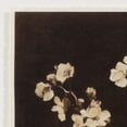 thumbnail image 3 of My Texas House Dark Floral Imprints Framed Art 18x24, 3 of 6