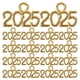 thumbnail image 1 of 50 mini dijes de metal con el número 2025 para graduación, borlas, llaveros, pulseras, collares y joyas, 1 of 8