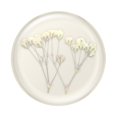 thumbnail image 2 of Phone Grip PopSockets Presed Flower Baby Breath, 2 of 6