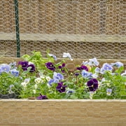 Garden Craft 24in H x 50ft L Gray Chicken Wire with 1in Openings