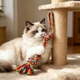 thumbnail image 6 of Dog Rope Chew Toy for Aggressive Chewers, Tough Cotton Teething Tug Toy with Knots for Puppies and Small Dogs, Dental Cleaning and Interactive Play, 6 of 6