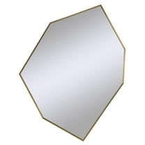 Renwil Devika 41 x 31 Geometric,Irregular Framed Mirror