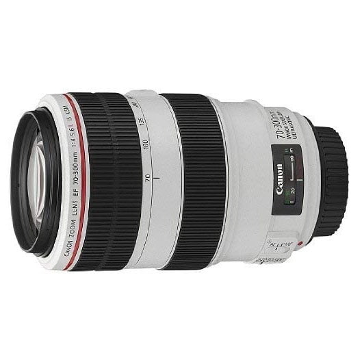 Canon EF 70-300mm f4-5.6 L is USM Lenses - Walmart.ca