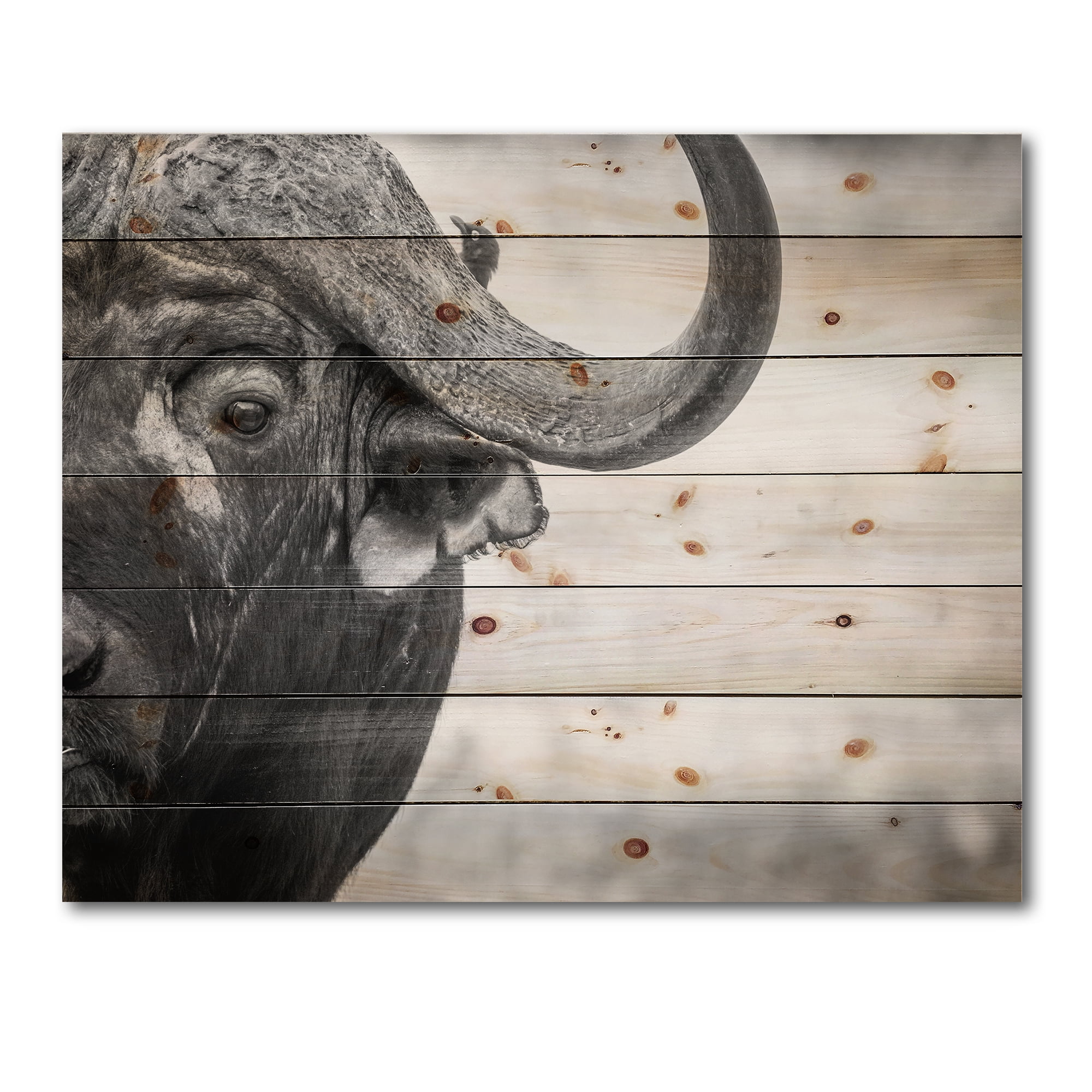 Designart 'Black and White Portrait Of Buffalo III' Farmhouse Print on Natural Pine Wood
