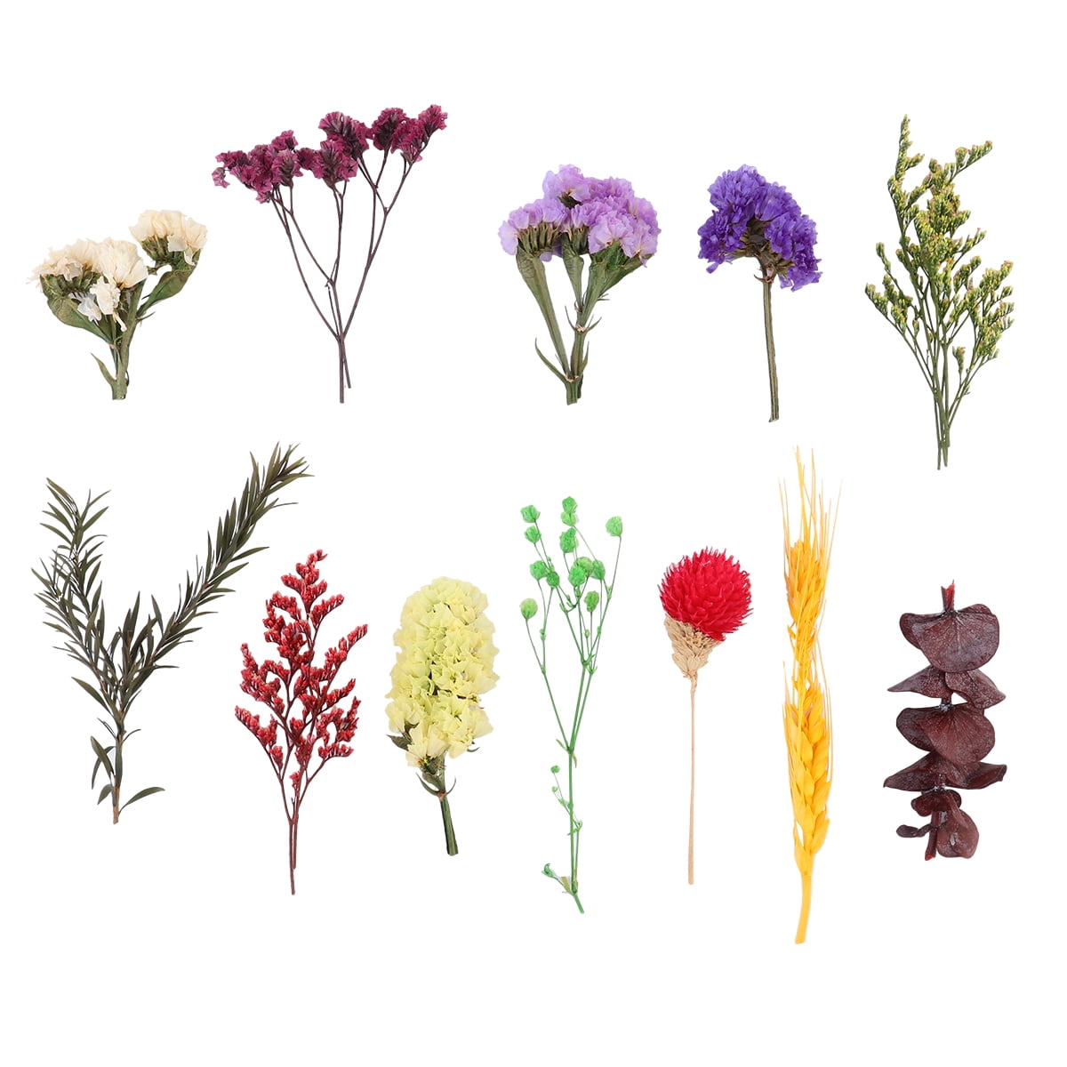 1 Box DIY Pressed Dried Flowers Practical Flower Materials Multiple