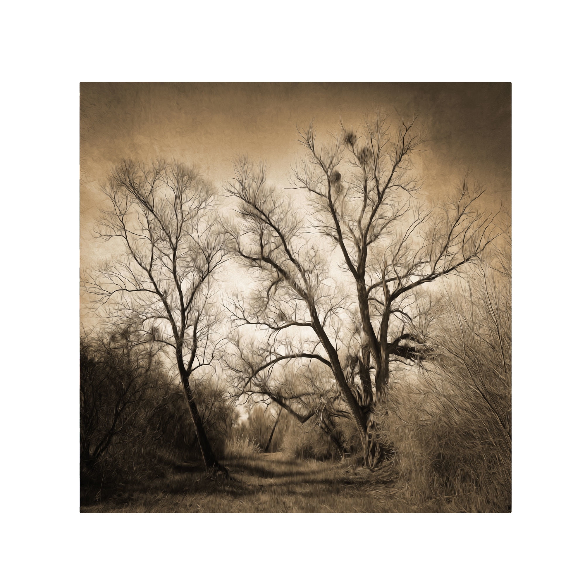Trademark Fine Art "Sepia Ghost" Canvas Art by Philippe Sainte-Laudy