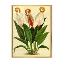 Designart 'Retro Wildflowers' Farmhouse Framed Canvas Wall Art Print