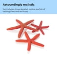 thumbnail image 6 of biOrb Red Starfish Set - Small Aquarium Decor, 6 of 10