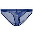 thumbnail image 1 of ylioge Mesh Underwear for Men Lightweight Low Rise High-Cut Breathable See-Through Solid Color Comfort Hipsters Briefs, 1 of 2