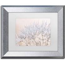 Trademark Fine Art 'Dandelion Dew II' Canvas Art by Cora Niele, White Matte, Silver Frame