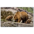 thumbnail image 1 of Picture-Tiles.com: Bear Ceramic Tile Wall Mural WAL500113-53M. 30"W x 18"H using (15) 6" x 6" Ceramic Tiles-Satin Finish, 1 of 3