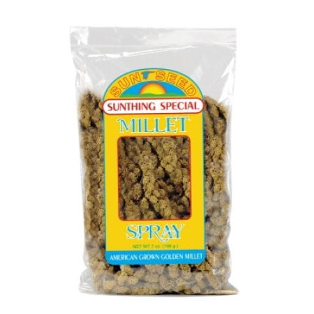 Millet Bird - Sunseed Sunsations Millet Spray Dry Small Animal Treat, 8 Oz