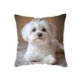 thumbnail image 2 of ddioayh Throw Pillow Cover Animal Print Soft Machine Washable 45x45cm for Sofa Chair Bedroom Home Decor Spring Easter Pet Theme Decorative Gift Idea, 2 of 6
