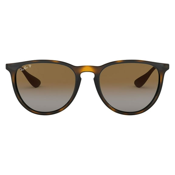 Ray-Ban RB4171 Erika Sunglasses