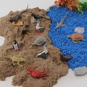 Safari Ltd. Galapagos Wildlife TOOB - Figurines of Seal, Blue-Footed Booby, Tortoise & More - Fun Educational Play Toy for Boys, Girls & Kids Ages 3+