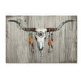 thumbnail image 1 of Trademark Fine Art 'Longhorn on Dark Gray Wood' Canvas Art by Avery Tillmon, 1 of 3