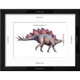 thumbnail image 3 of Stegosaurus Dinosaur, Animals Framed Art Print Wall Art by Joe Tucciarone Sold by Art.Com, 3 of 4