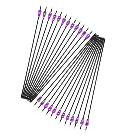 12Pcs Carbon Arrows 3 Vanes Target Shoot Archery Practice Hunting