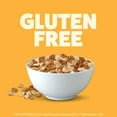 thumbnail image 3 of Post Cinnamon Pebbles Breakfast Cereal, Gluten Free, Family Size Box, 19.5 oz, 3 of 3