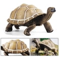 thumbnail image 4 of relayinert Modèle d'Animal Tortue Jouet Simulé Mode Mini Animal Solide pour Aides Pédagogiques, 4 of 5