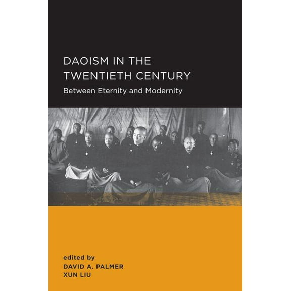New Perspectives on Chinese Culture and Society: Daoism in the Twentieth Century (Series #2) (Edition 1) (Paperback)