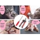 thumbnail image 4 of Tijeras de garra para perros, gatos y animales pequeños, Tijeras de uñas para perros, Cuidado de garras para perros, 4 of 5