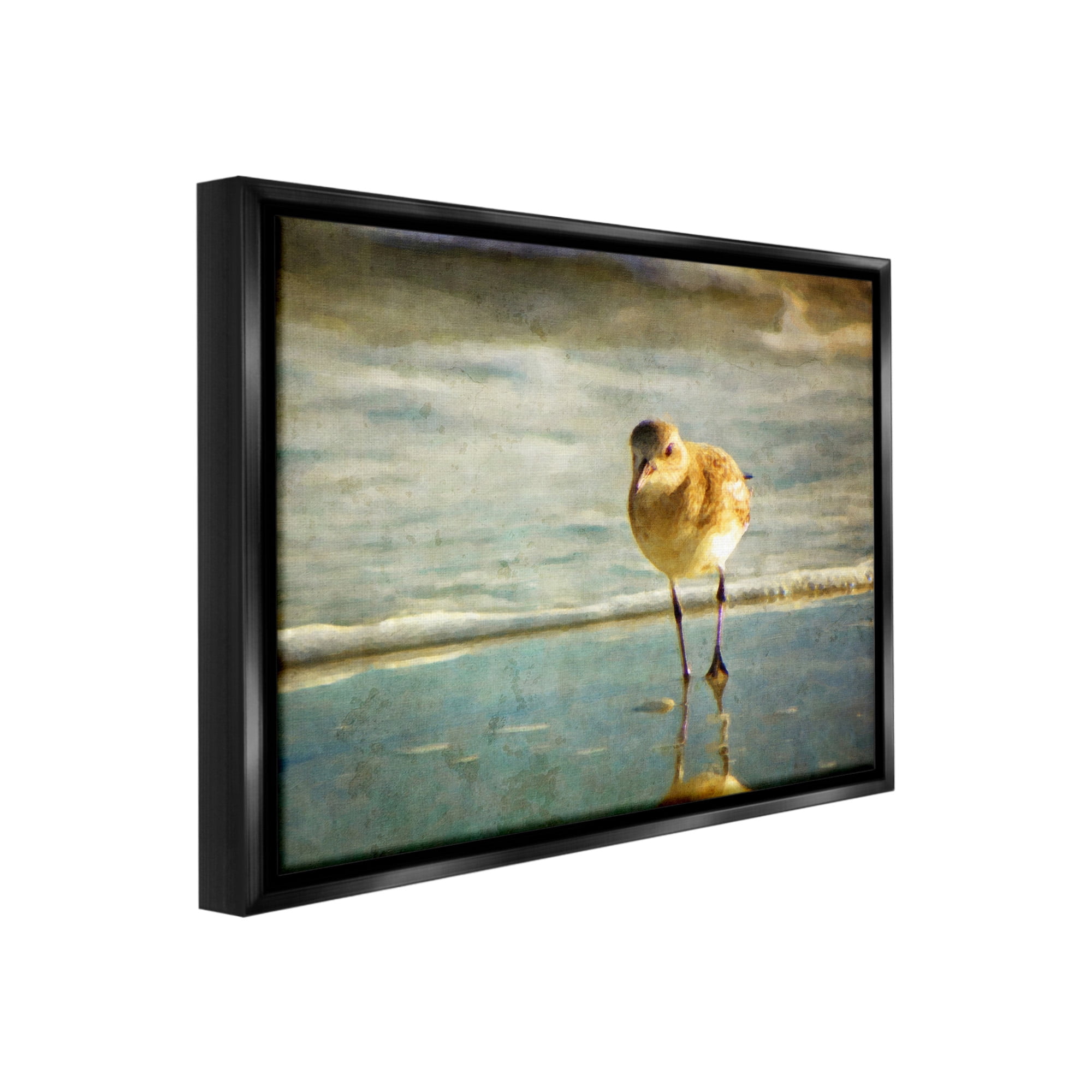 Stupell Industries Stepping Sandpiper at Shore Animals & Insects Photography Black Floater Framed Canvas Art Print Wall Art, 31 x 25
