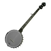 Gold Tone 5-String Old Time Banjo w/ Hard Case