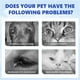 thumbnail image 5 of Gotas de lavado para perros y gatos con coloidal | Limpiador ocular calmante y quitamanchas de lágrimas diario, para ojos irritados, inflamados y secos. Solución de protección ocular de 12 ml., 5 of 9