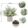 thumbnail image 2 of Der Rose 3 Pack Mini Potted Fake Plants Artificial Plastic Eucalyptus Plants for Home Office Desk Room Decoration, 2 of 6