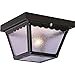 thumbnail image 3 of Volume Lighting V7232-5 2-Light Outdoor Ceiling Mount, Black, 3 of 3